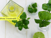 asthma treatments in ayurveda