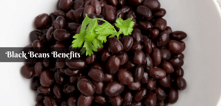 health benefits of black beans