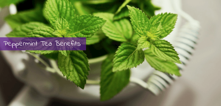 health benefits of peppermint tea