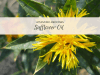 safflower oil