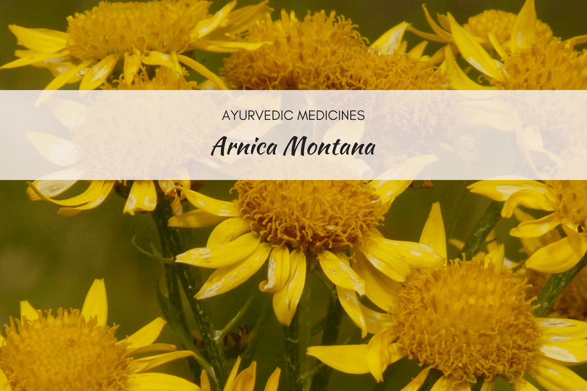 Discover These Arnica Montana Uses And Side Effects