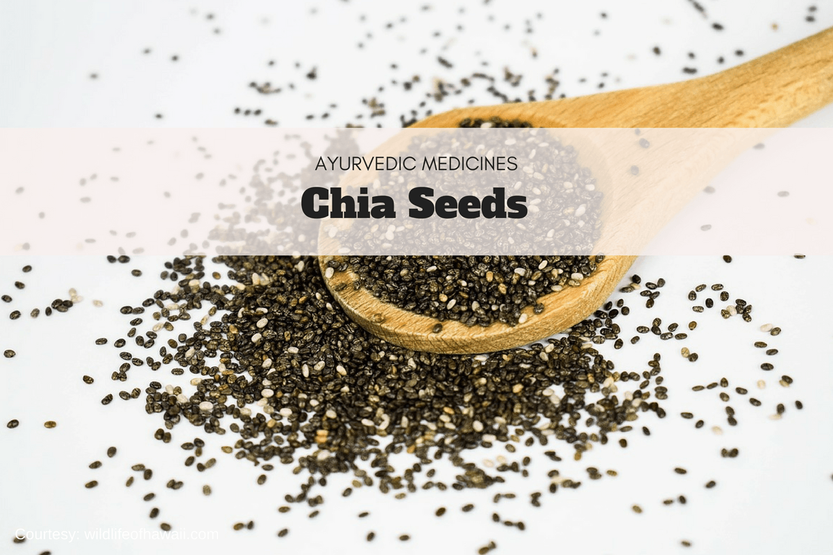 Chia Seeds Uses, Dosage And Side Effects Ayurvedum