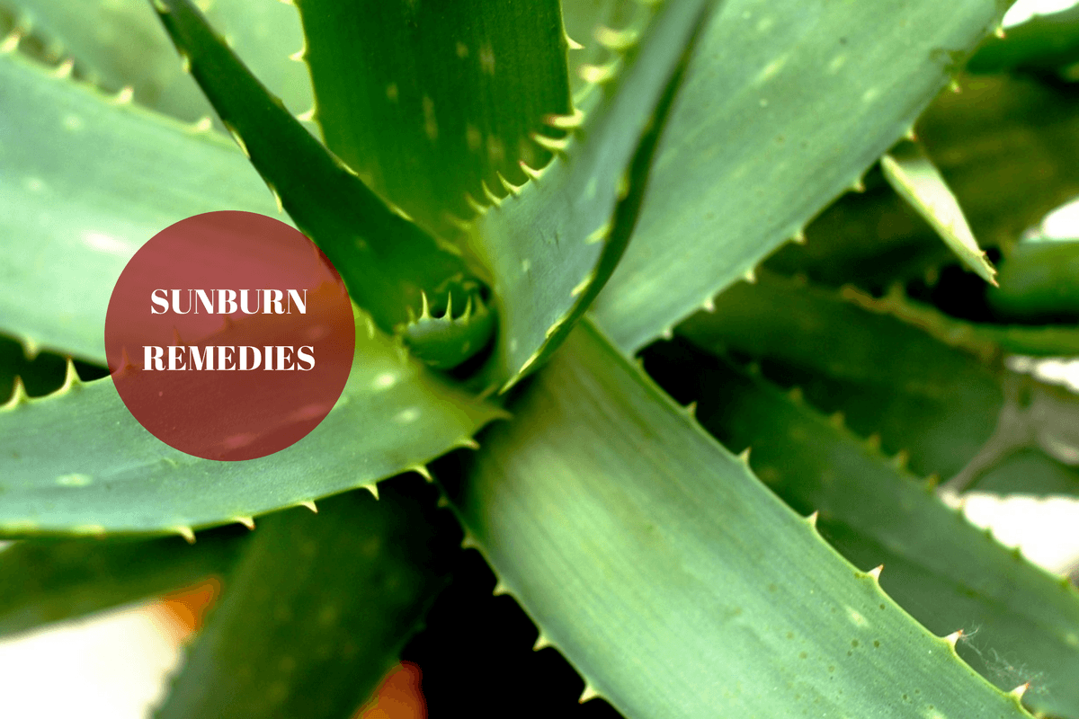 Home Remedies For Sunburn BrushUp Some Sun Sense
