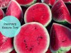 prostate health tips