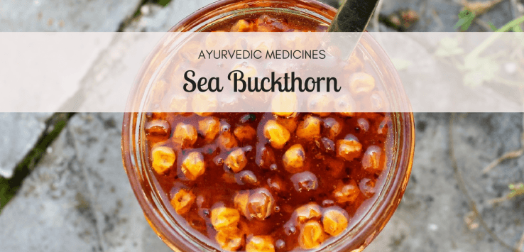 sea buckthorn benefits