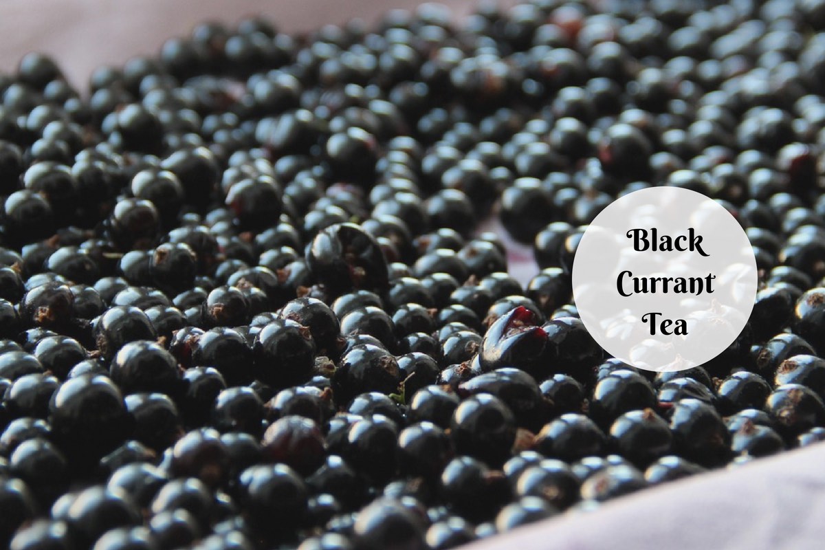 Black Currant Tea Benefits Your Very Own Immunity Drink