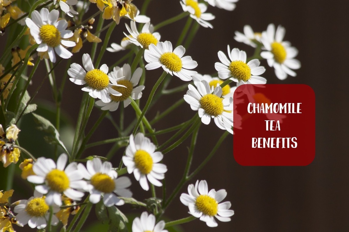 Chamomile Tea Benefits For Your Hair, Skin And Overall Health