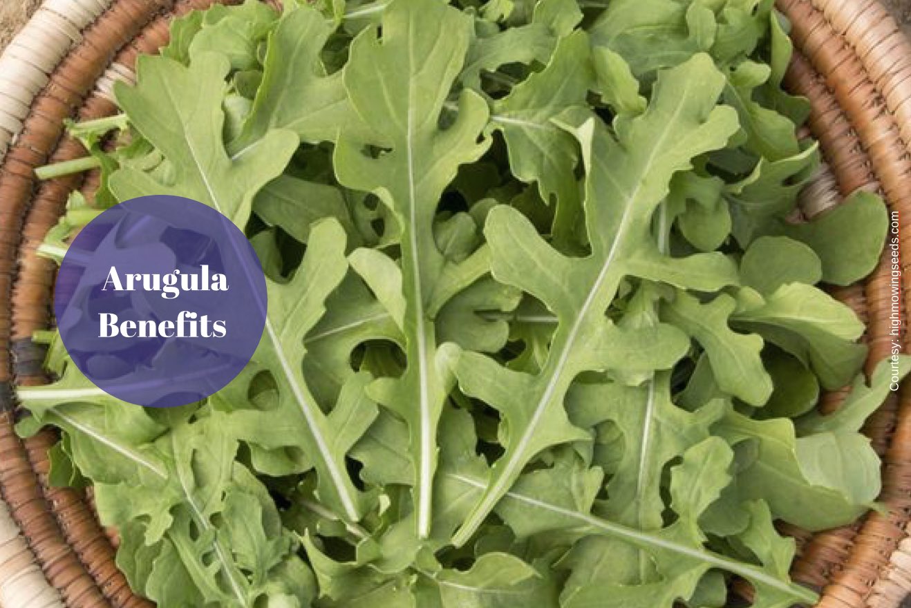 Arugula Benefits Humans Have Reaped For Thousands Of Years