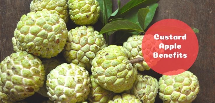 custard apple benefits