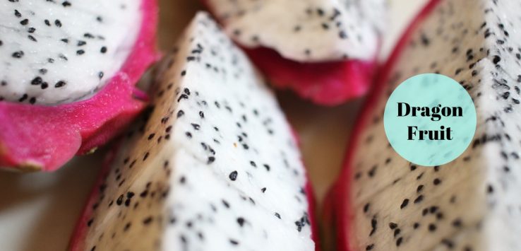 dragon fruit