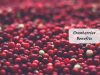 cranberries benefits
