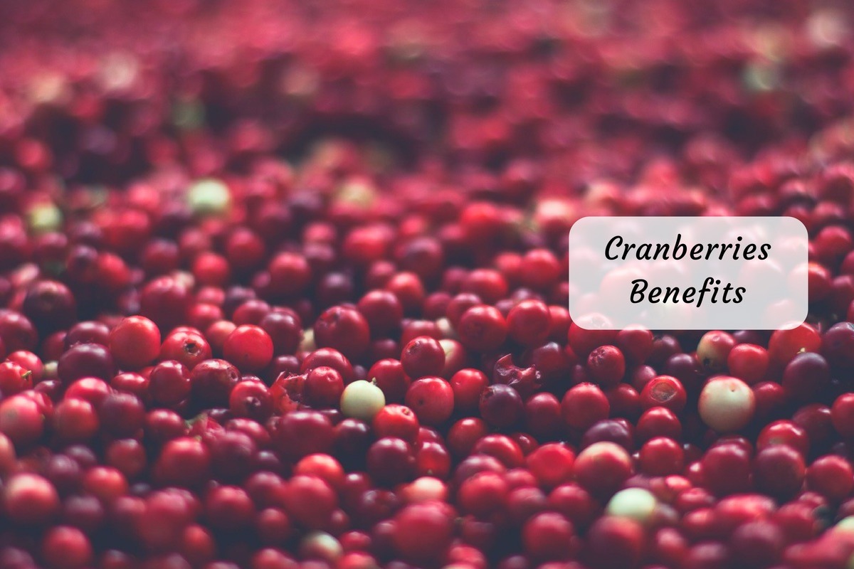 Cranberry Benefits A Superfood For AllRound Health