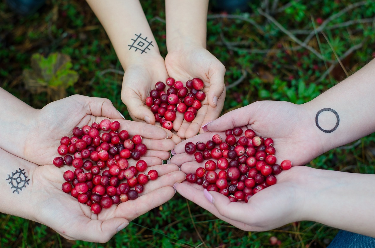 Cranberry Benefits A Superfood For AllRound Health
