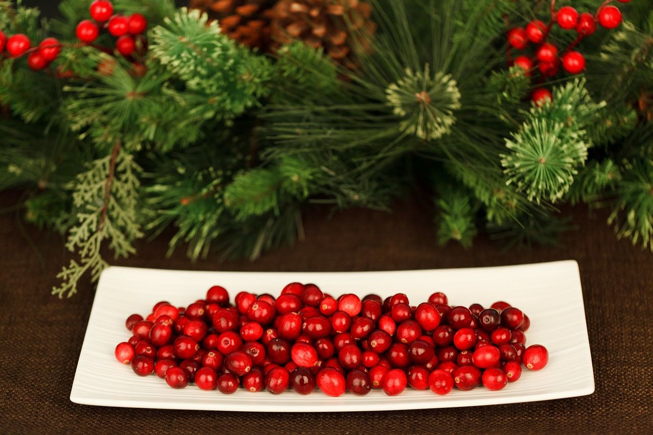 Cranberry Benefits A Superfood For AllRound Health