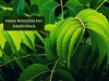 Amyloidosis Treatment_Ayurvedum