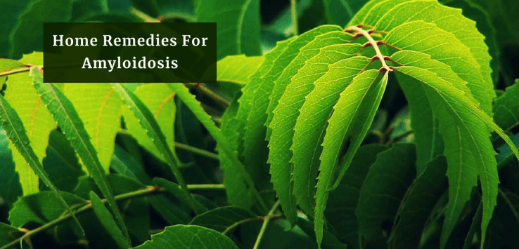 Amyloidosis Treatment_Ayurvedum