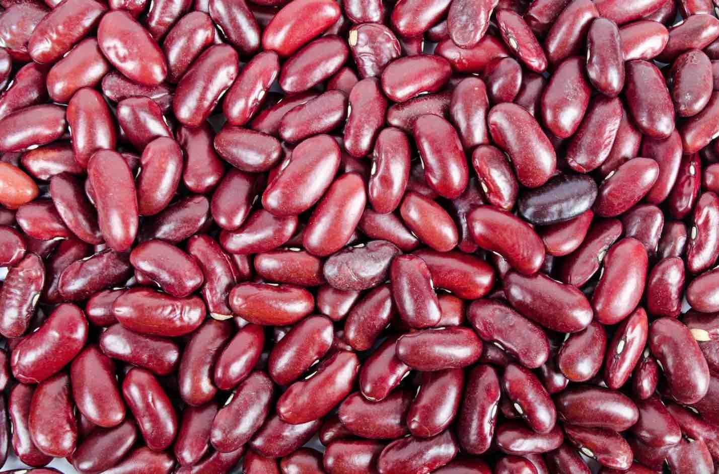 Health Benefits Of Kidney Beans Cancer Prevention To Brain Power