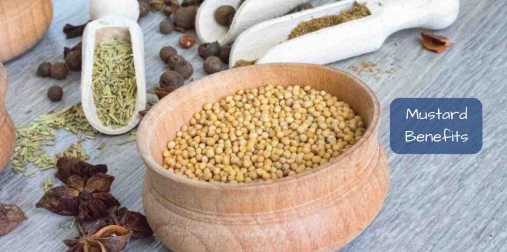 THE BENEFITS OF MUSTARD ACCORDING TO DIETITIANS intelligence overview