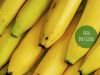 vata diet guide