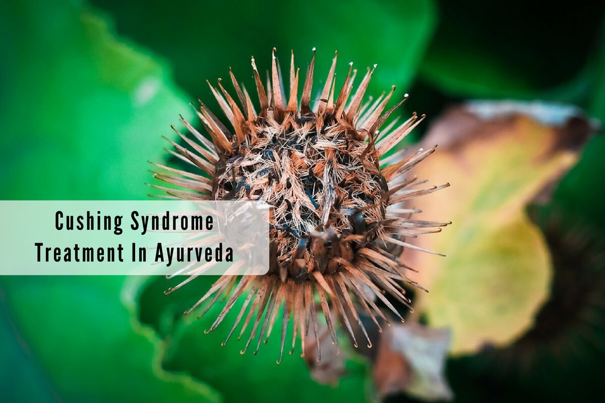 Cushing Syndrome (Hypercortisolism) Symptoms & Treatment