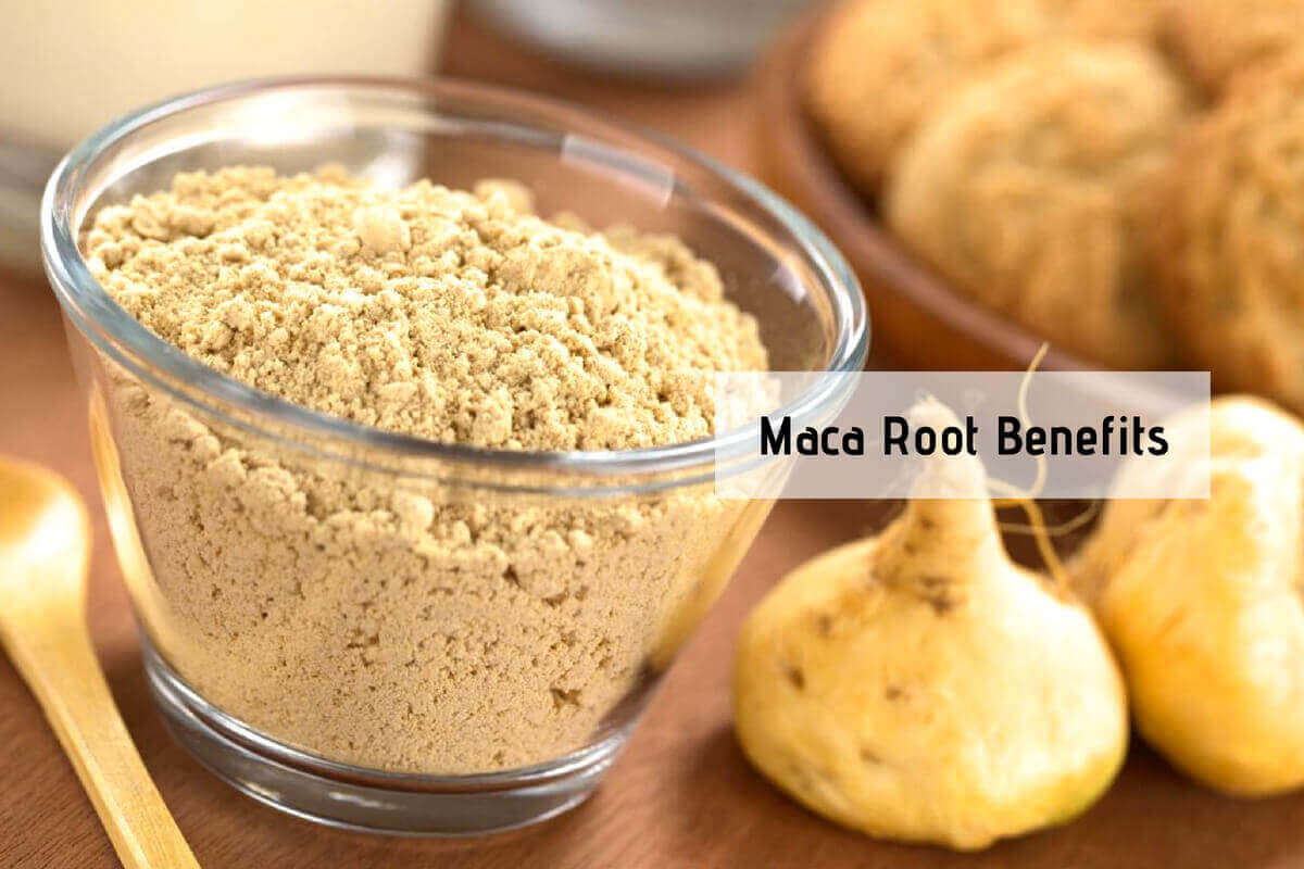 Maca Benefits Healthy You With Just One Super Herb