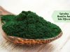 Spirulina benefits _ Ayurvedum