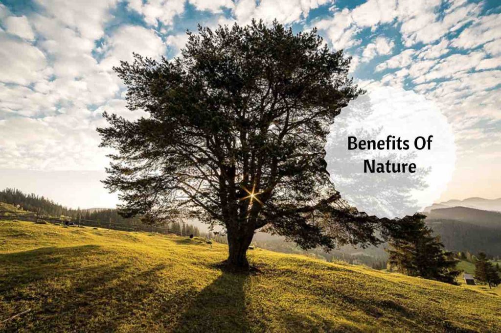 Benefits Of Being In Nature Ayurvedum Benefits Of Being In Nature Ayurvedum