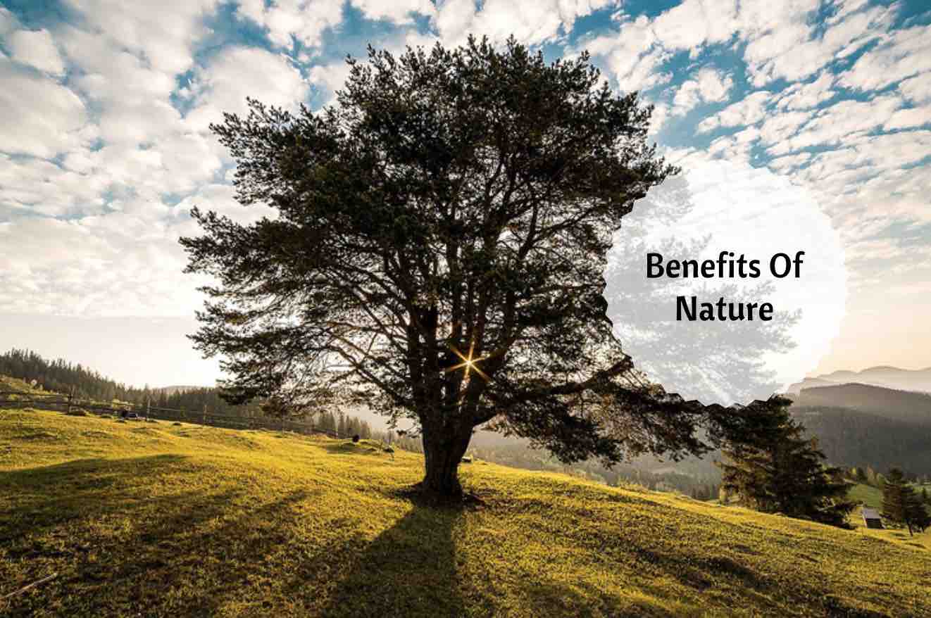 Benefits Of Being In Nature Off Your Screen And Into The Wild!