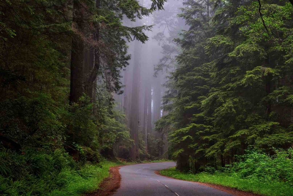 benefits of spending time outside