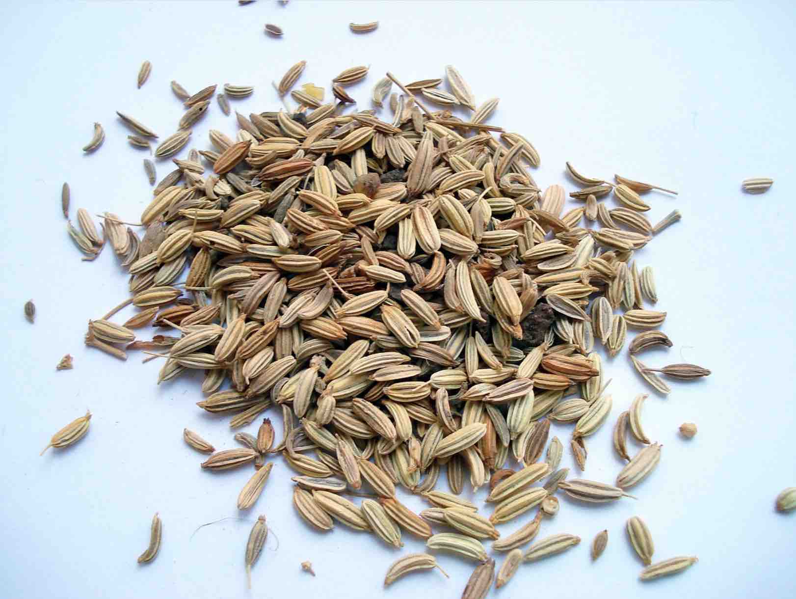 digestive herbs and spices fennel Ayurvedum