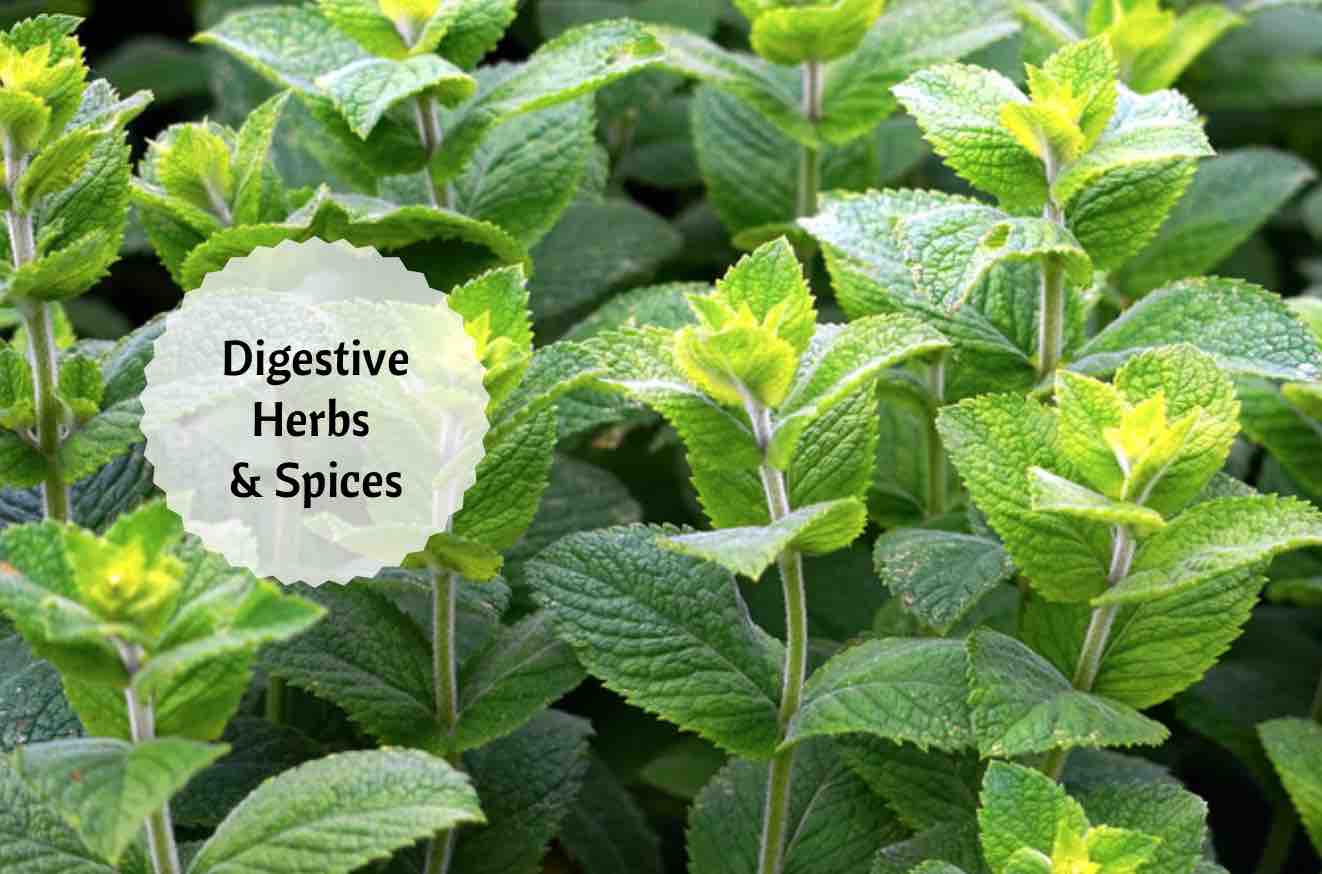 digestive herbs and spices