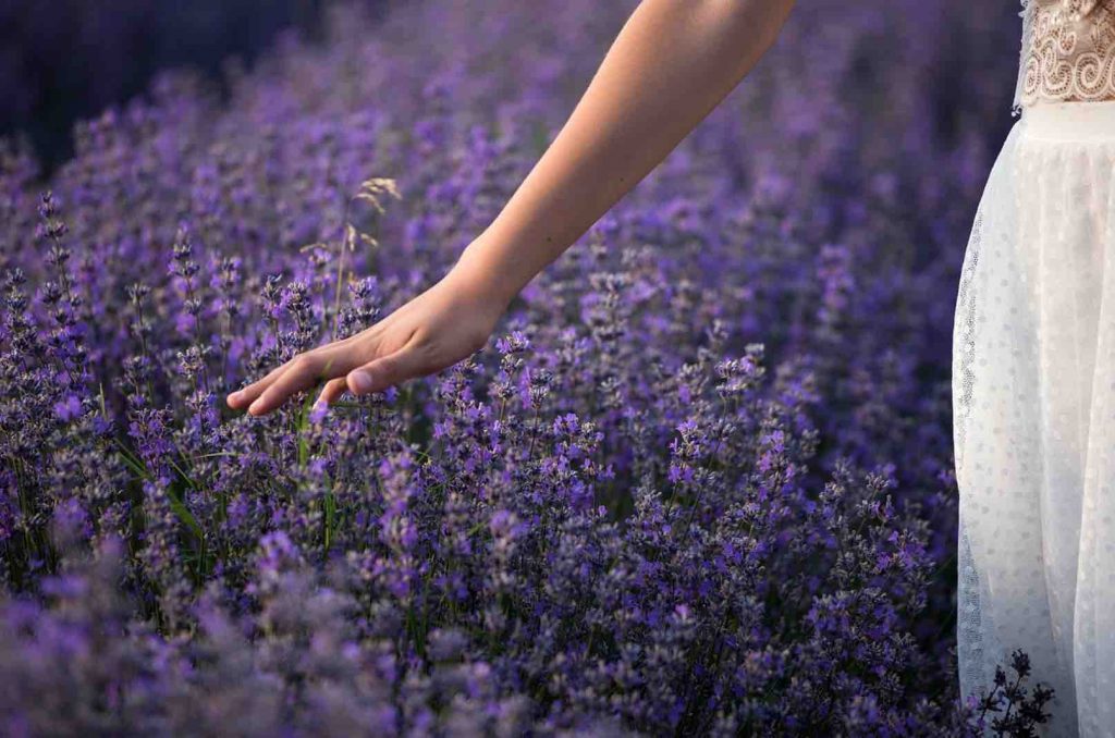 health benefits of being in nature