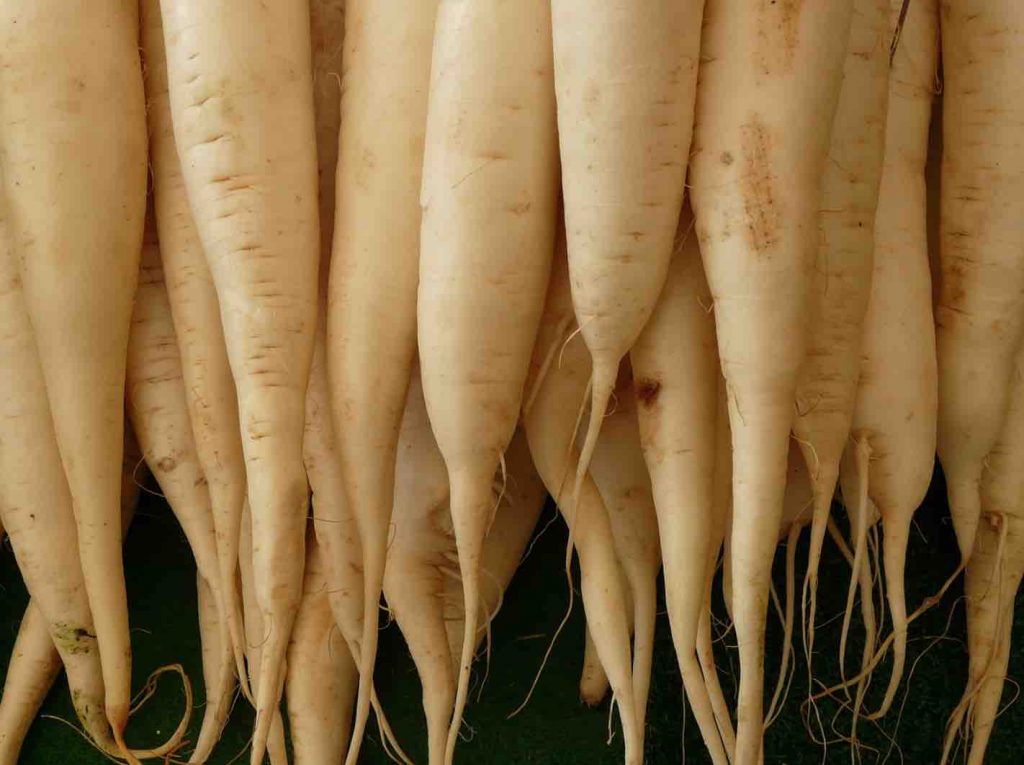 health benefits of radishes