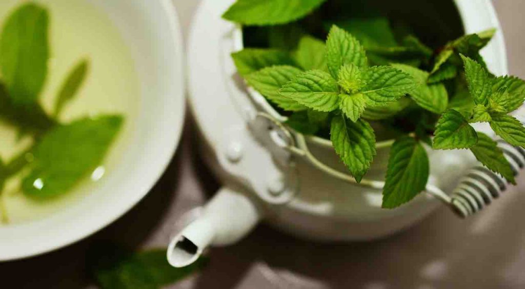 how to prevent lung infection