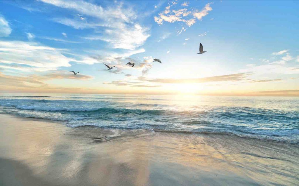 mental benefits of being in nature