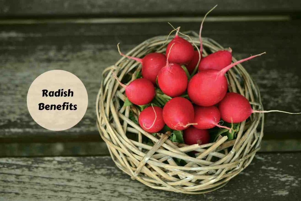 radish health benefits Ayurvedum