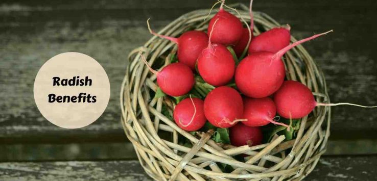 radish health benefits