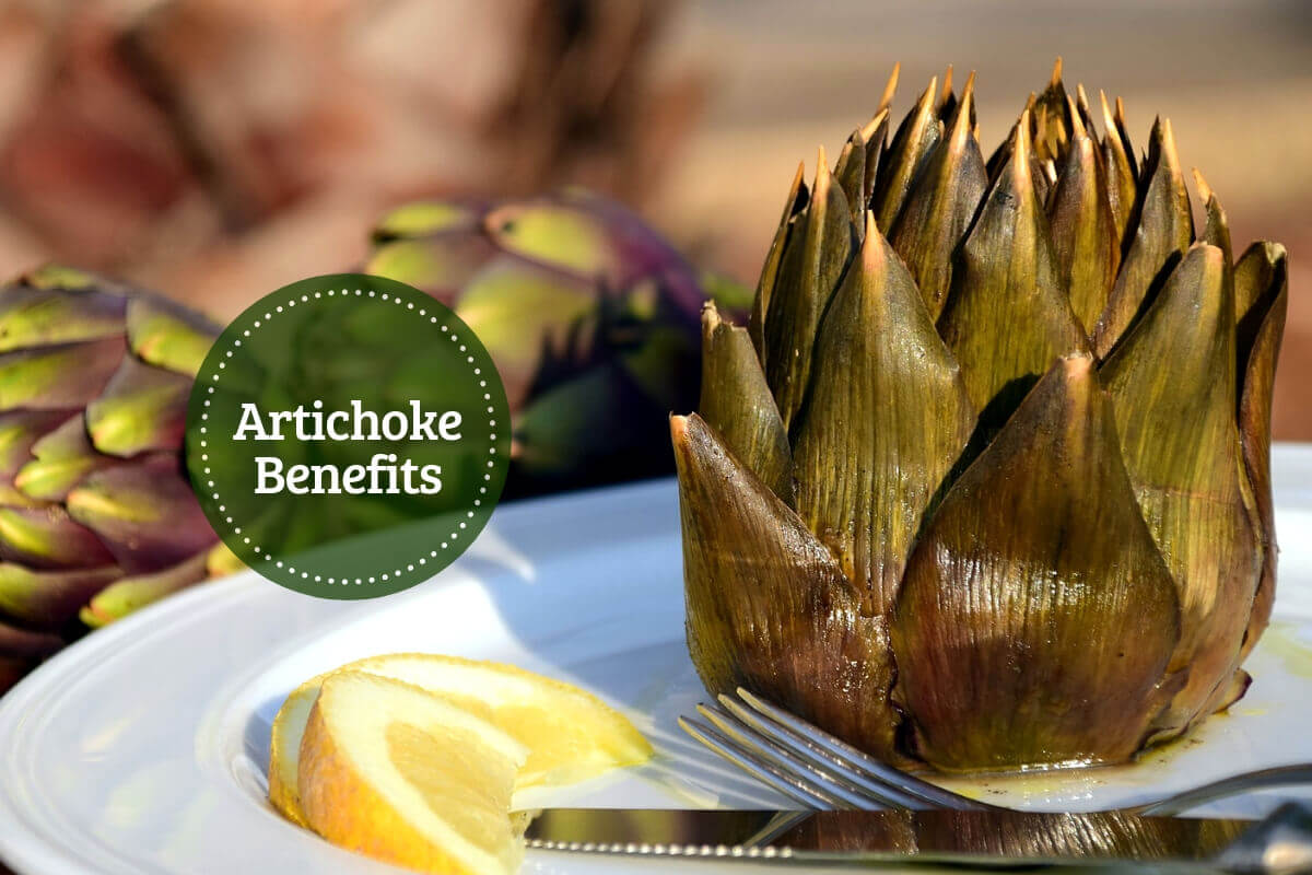 Artichoke Nutrition Facts & Benefits Choke Diseases With