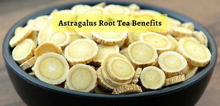 Astragalus benefits _ Ayurvedum