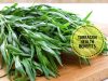 What is Tarragon _ Ayurvedum