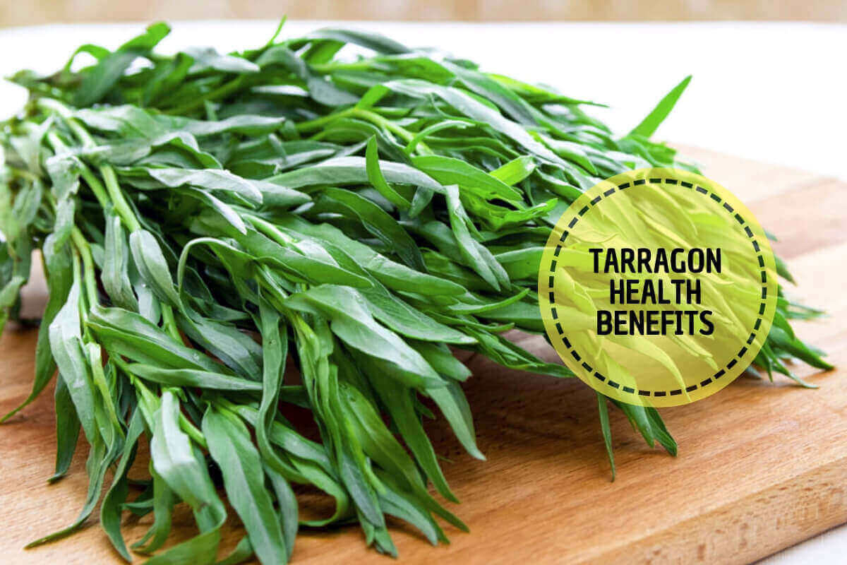 What Is Tarragon? A Potent Spring Herb For Good Health!
