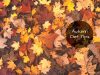 autumn food