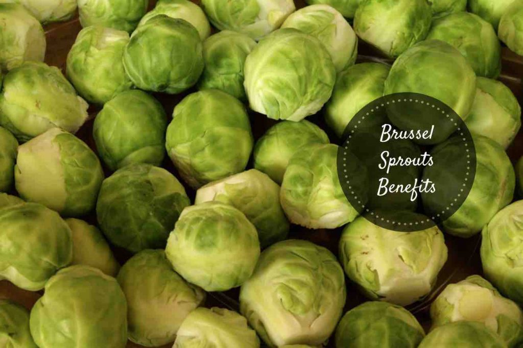 brussel sprouts benefits Ayurvedum