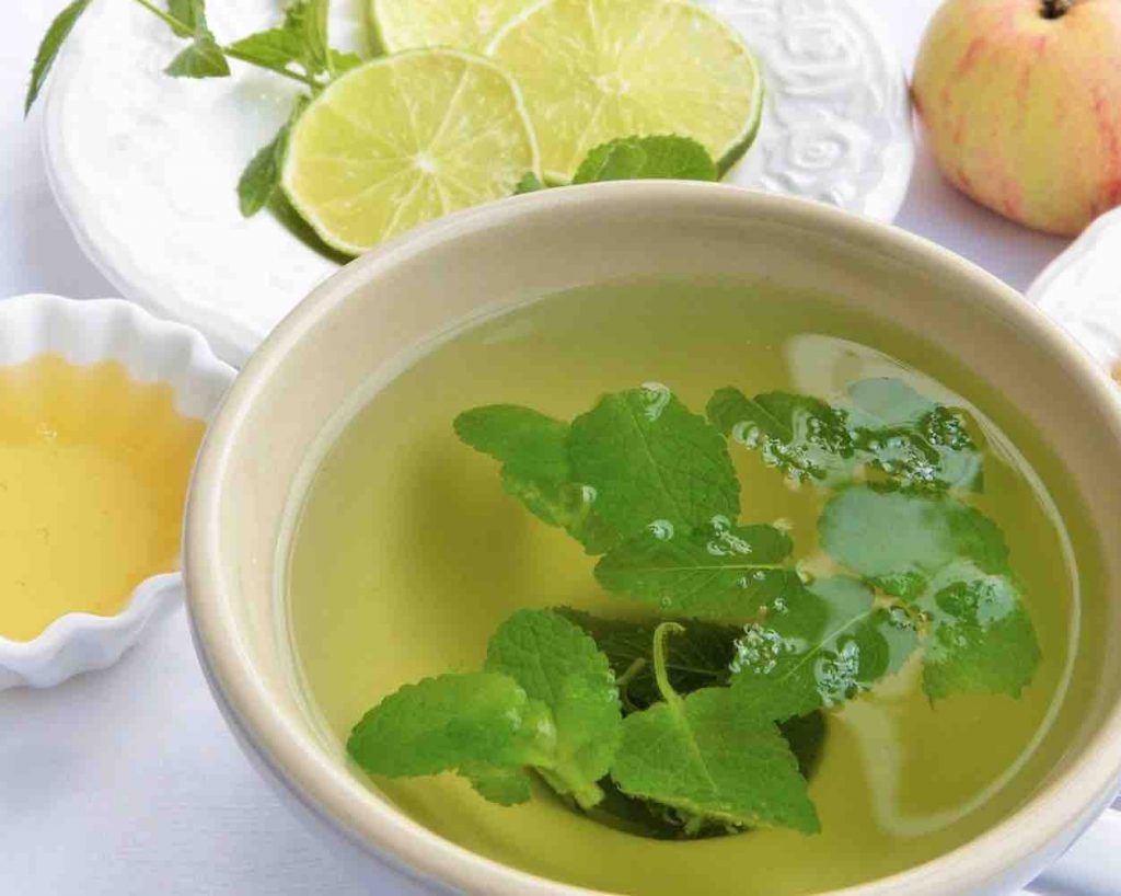 cooling herbs mint
