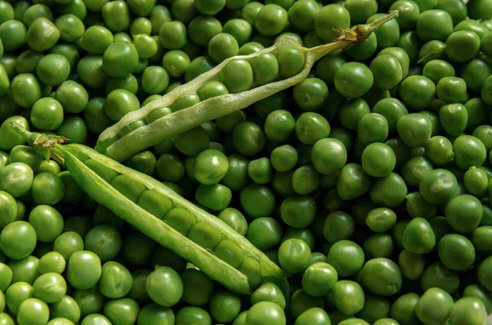 health benefits of green peas Ayurvedum