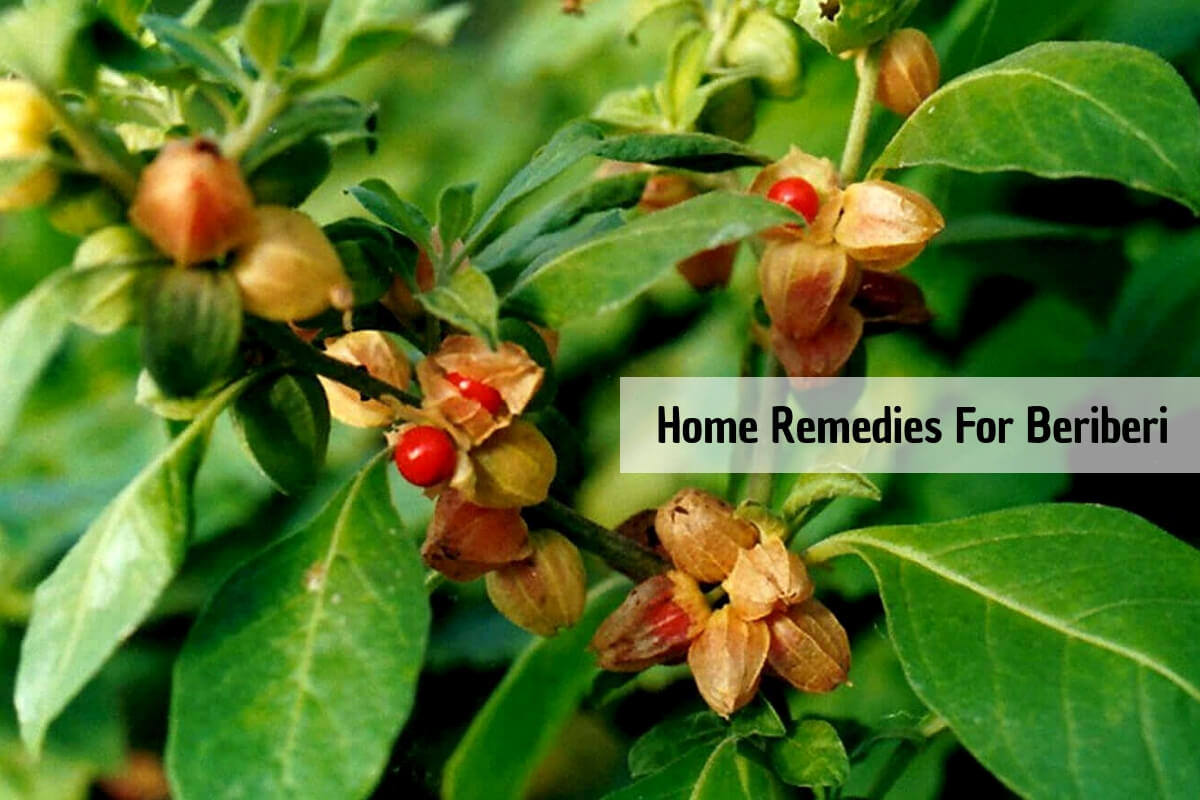 Beriberi Disease (Thiamine Deficiency): Ayurvedic Home Remedies