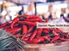 Cayenne pepper benefits _ Ayurvedum