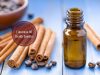 Cinnamon Oil _ Ayurvedum