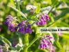 Comfrey uses _ Ayurvedum