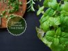 Graves' disease _ Ayurvedum